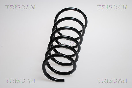 Arc spiral 8750 6929 TRISCAN