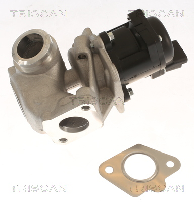 Supapa EGR 8813 10018 TRISCAN