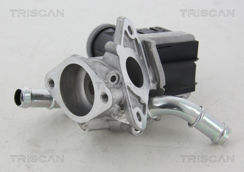 Supapa EGR 8813 16036 TRISCAN