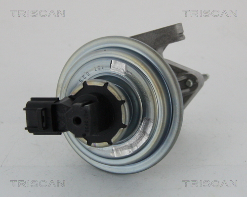 Supapa EGR 8813 16045 TRISCAN