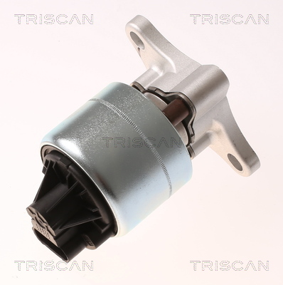 Supapa EGR 8813 21026 TRISCAN