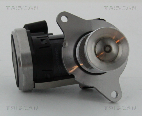 Supapa EGR 8813 23006 TRISCAN