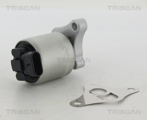 Supapa EGR 8813 24002 TRISCAN