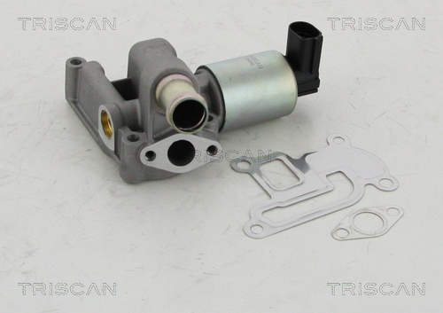 Supapa EGR 8813 24003 TRISCAN