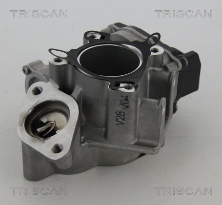 Supapa EGR 8813 24039 TRISCAN