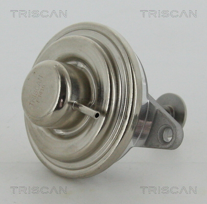 Supapa EGR 8813 24054 TRISCAN