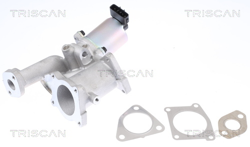 Supapa EGR 8813 24101 TRISCAN