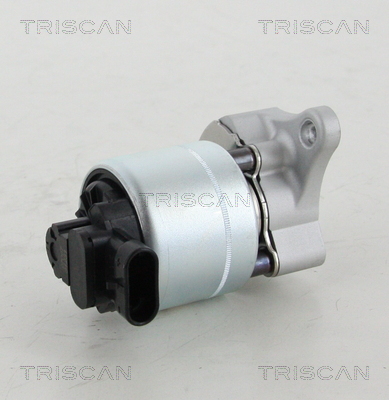 Supapa EGR 8813 28008 TRISCAN