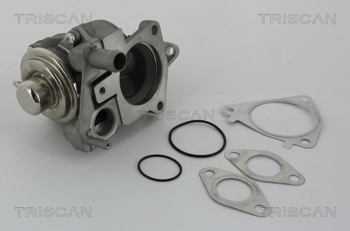 Supapa EGR 8813 28019 TRISCAN