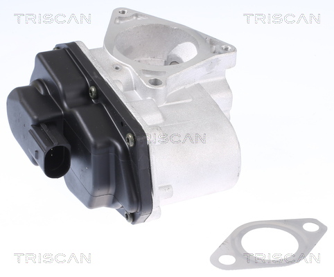 Supapa EGR 8813 29003 TRISCAN