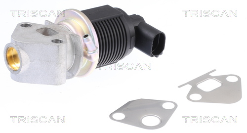 Supapa EGR 8813 29009 TRISCAN