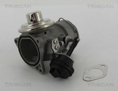 Supapa EGR 8813 29036 TRISCAN