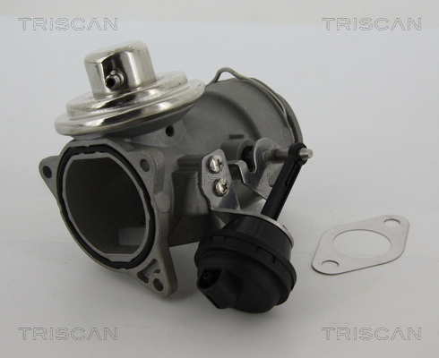 Supapa EGR 8813 29040 TRISCAN