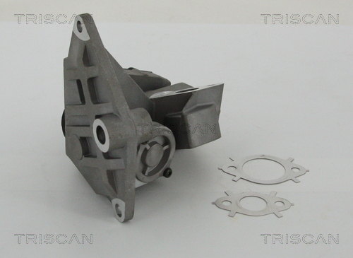 Supapa EGR 8813 29047 TRISCAN