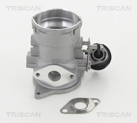 Supapa EGR 8813 29056 TRISCAN