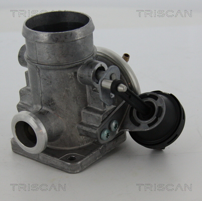 Supapa EGR 8813 29300 TRISCAN