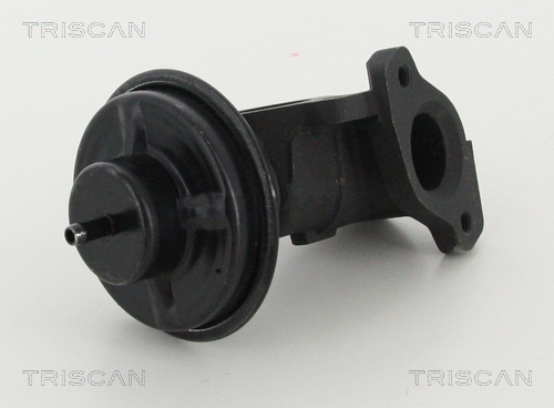 Supapa EGR 8813 44020 TRISCAN