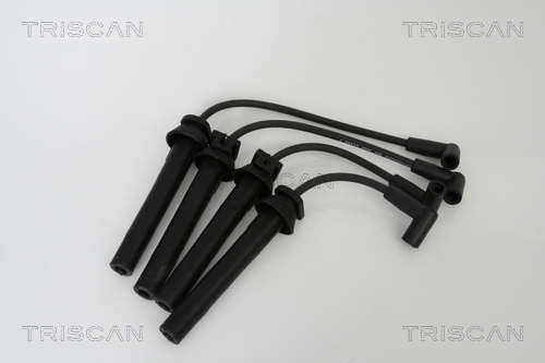 Set cablaj aprinder 8860 11006 TRISCAN