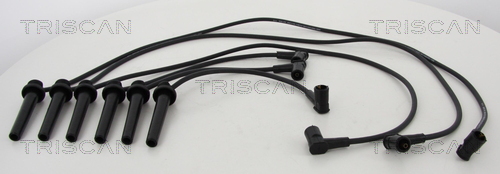 Set cablaj aprinder 8860 16021 TRISCAN