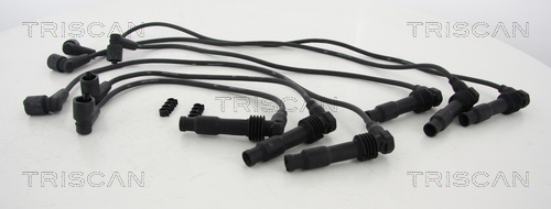 Set cablaj aprinder 8860 2498 TRISCAN