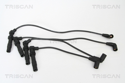 Set cablaj aprinder 8860 29002 TRISCAN