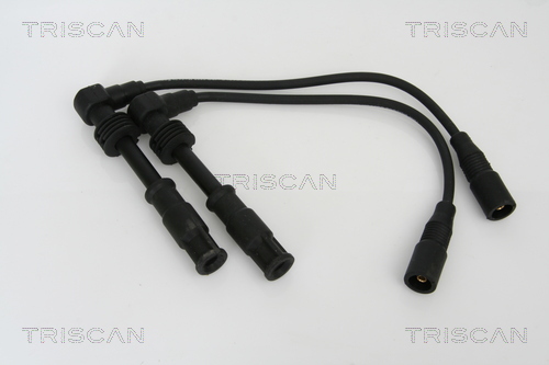 Set cablaj aprinder 8860 29006 TRISCAN