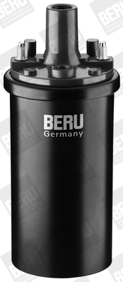 bobina de inductie ZS119 BorgWarner (BERU)
