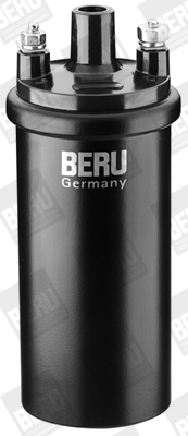 bobina de inductie ZS121 BorgWarner (BERU)