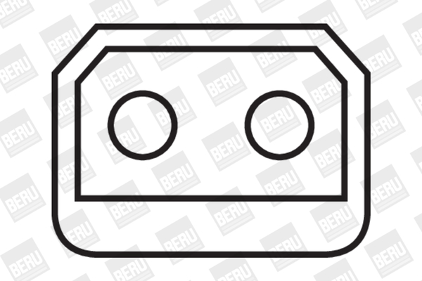Bobina de inductie ZS224 BorgWarner (BERU)