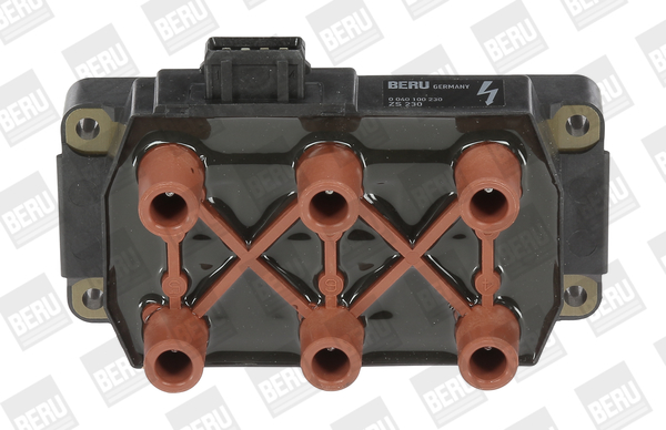 bobina de inductie ZS230 BorgWarner (BERU)