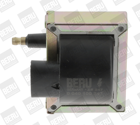 bobina de inductie ZS247 BorgWarner (BERU)