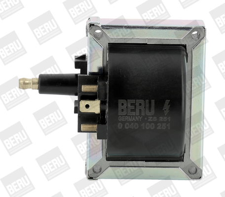 bobina de inductie ZS251 BorgWarner (BERU)