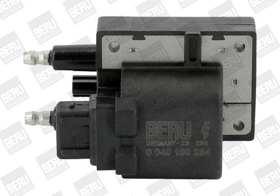 bobina de inductie ZS254 BorgWarner (BERU)