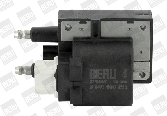 bobina de inductie ZS255 BorgWarner (BERU)
