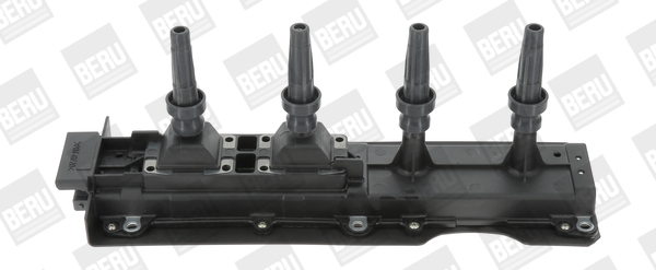 bobina de inductie ZS256 BorgWarner (BERU)