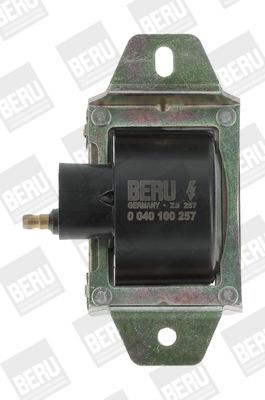 bobina de inductie ZS257 BorgWarner (BERU)