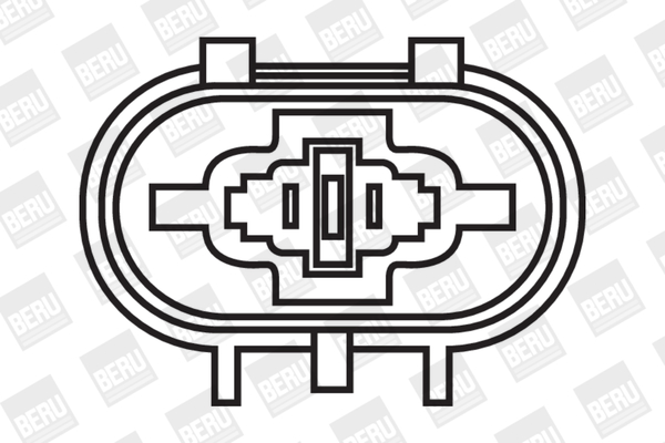 bobina de inductie ZS263 BorgWarner (BERU)