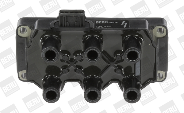 bobina de inductie ZS301 BorgWarner (BERU)