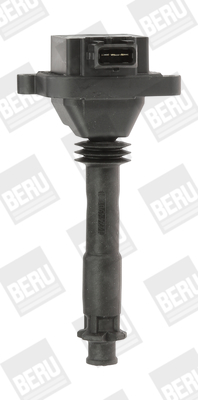 bobina de inductie ZS310 BorgWarner (BERU)