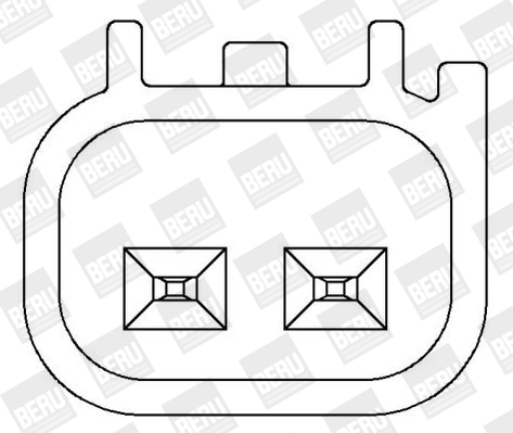 bobina de inductie ZS366 BorgWarner (BERU)