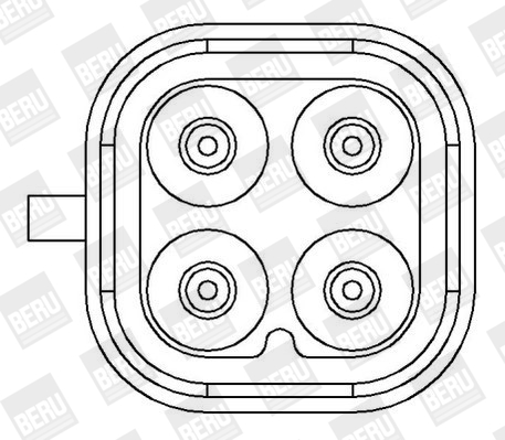 bobina de inductie ZS407 BorgWarner (BERU)