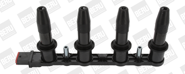 Bobina de inductie ZS427 BorgWarner (BERU)