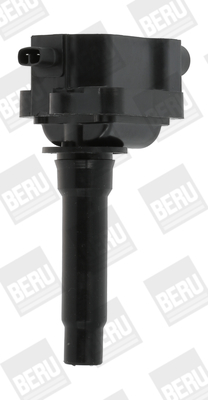 Bobina de inductie ZS434 BorgWarner (BERU)