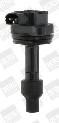 bobina de inductie ZS446 BorgWarner (BERU)