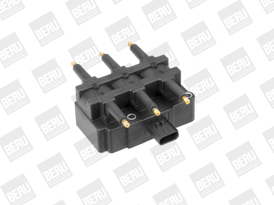 bobina de inductie ZS456 BorgWarner (BERU)