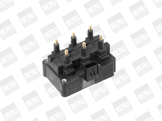 bobina de inductie ZS470 BorgWarner (BERU)