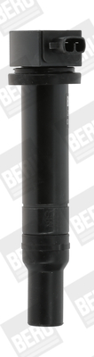 bobina de inductie ZS481 BorgWarner (BERU)
