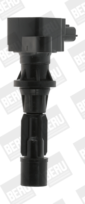 bobina de inductie ZS488 BorgWarner (BERU)