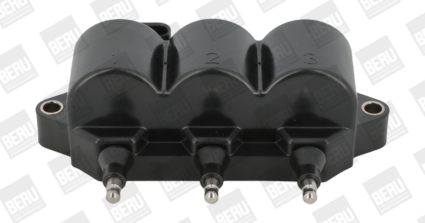 bobina de inductie ZS539 BorgWarner (BERU)
