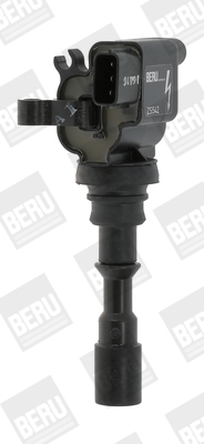 bobina de inductie ZS542 BorgWarner (BERU)
